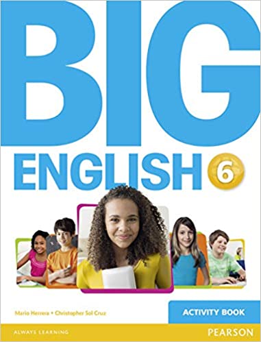 Big English Activity Book Level 6