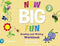 New Big Fun  Reading and Writing WB