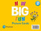 New Big Fun Picture Cards Level 2
