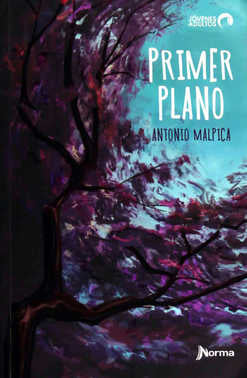 PRIMER PLANO.