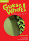 American English Guess What! Class Audio CDs 1 (2)